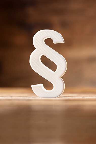 icon economics of institiutions